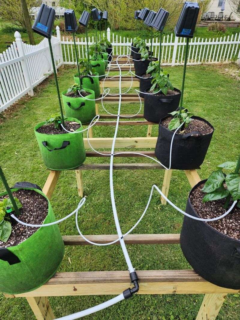 Strategic Watering