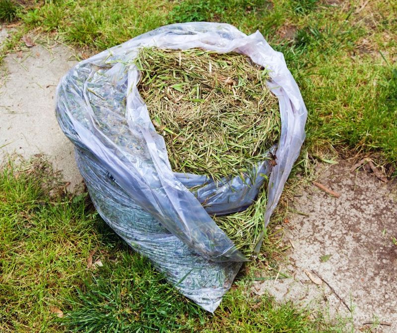 Lawn Clipping Mix