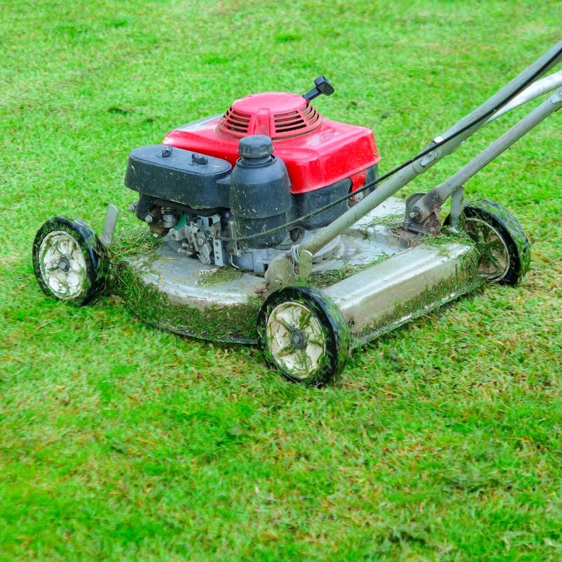 Makes Mowing Easier