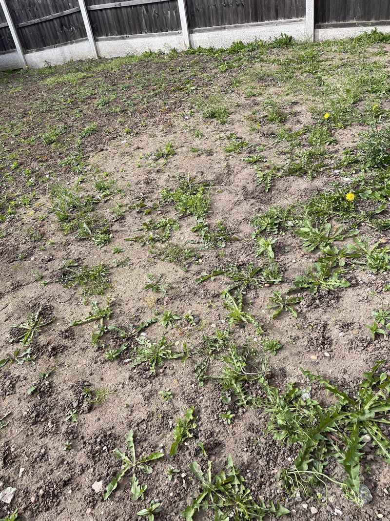 Organic Matter Deficiency