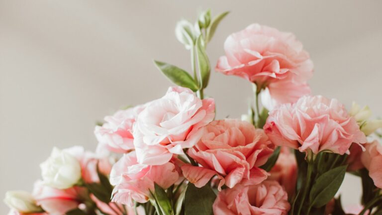 A Close-Up Shot a Bouquet of Peony Flowers