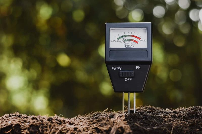 Soil PH Problems