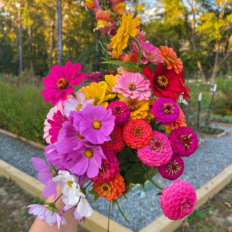 Grandmother's Cutting Garden