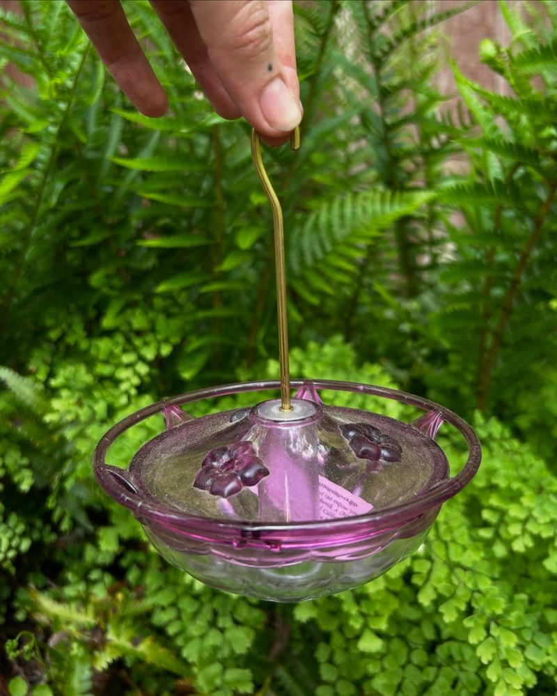 Butterfly Feeders