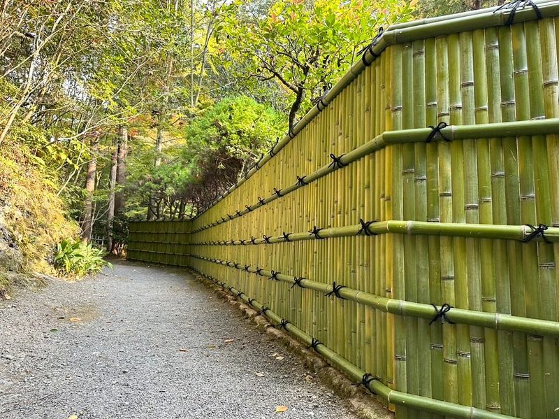 Bamboo Screen Sections