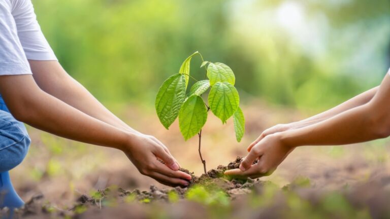 two people planting a tree