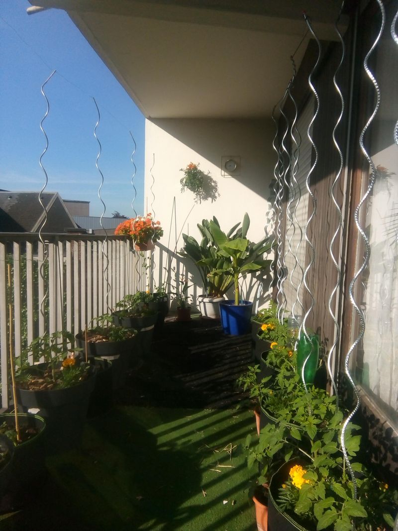 Rooftop Gardens