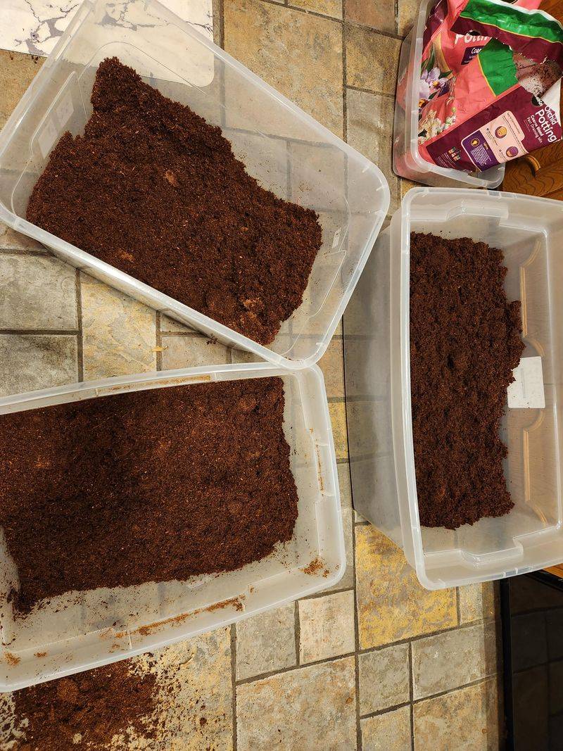 Coconut Coir Bricks