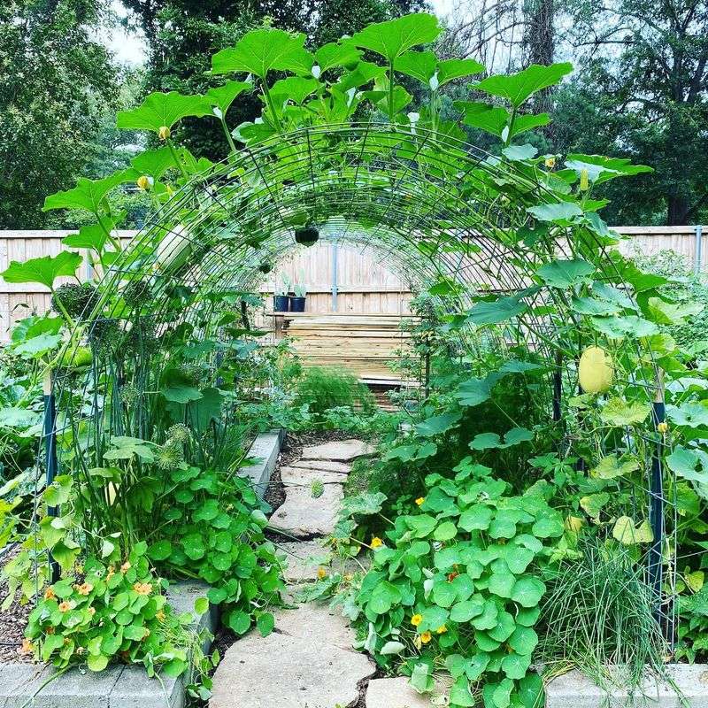 Trellised Container Gardens