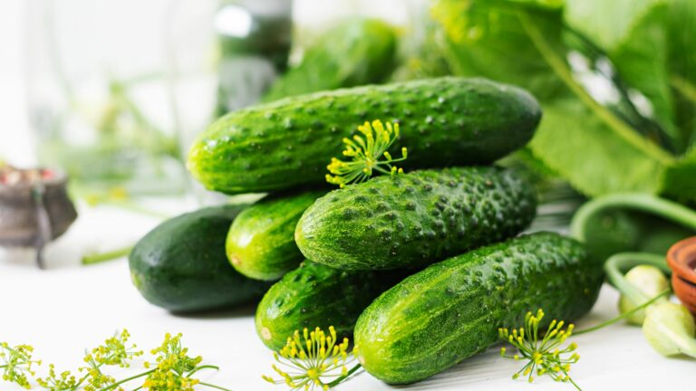 cucumbers