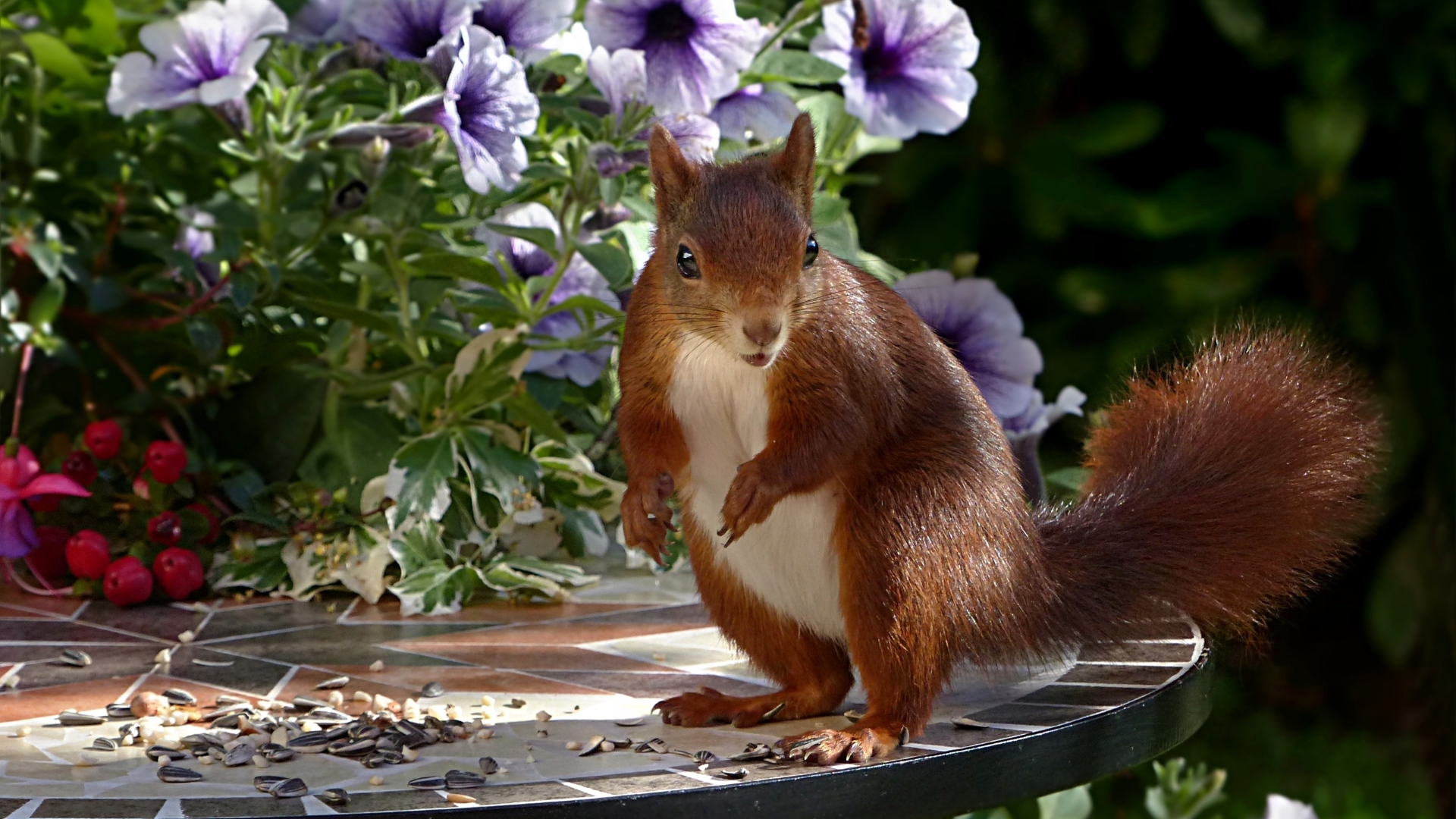 If You Want To Keep Squirrels From Eating Your Garden, Here Are 37 Excellent Choices To Plant