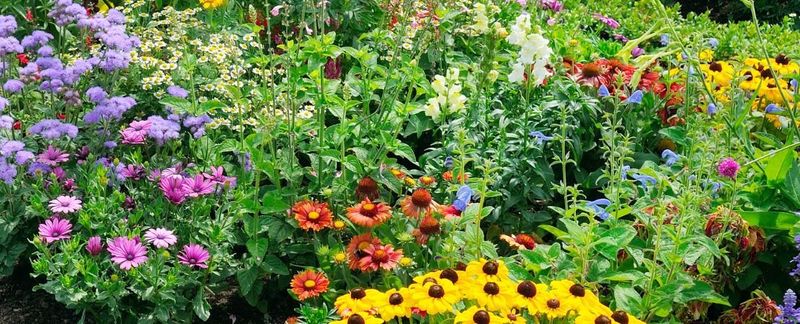 Using Too Many Plant Varieties