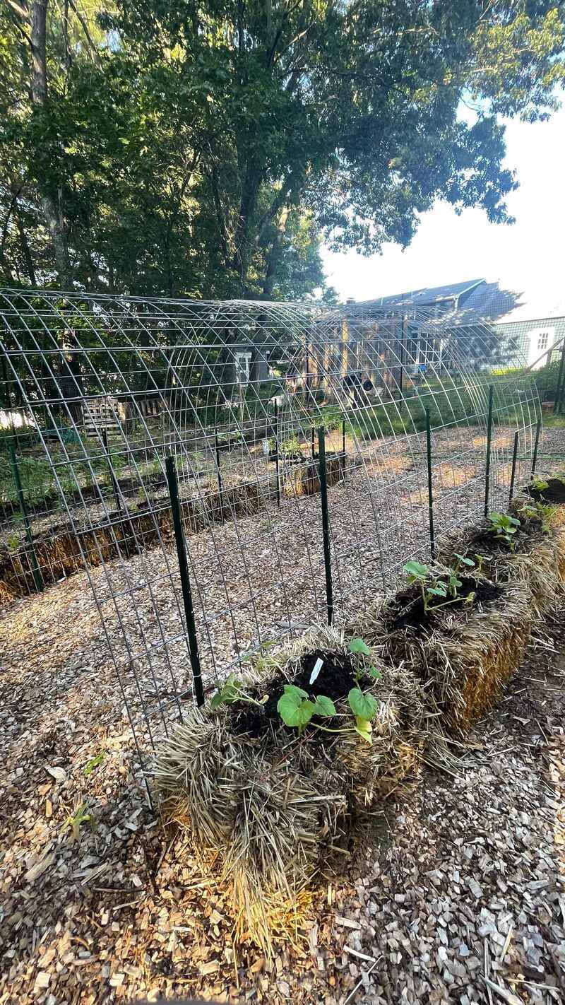 Failing to Rotate Crops
