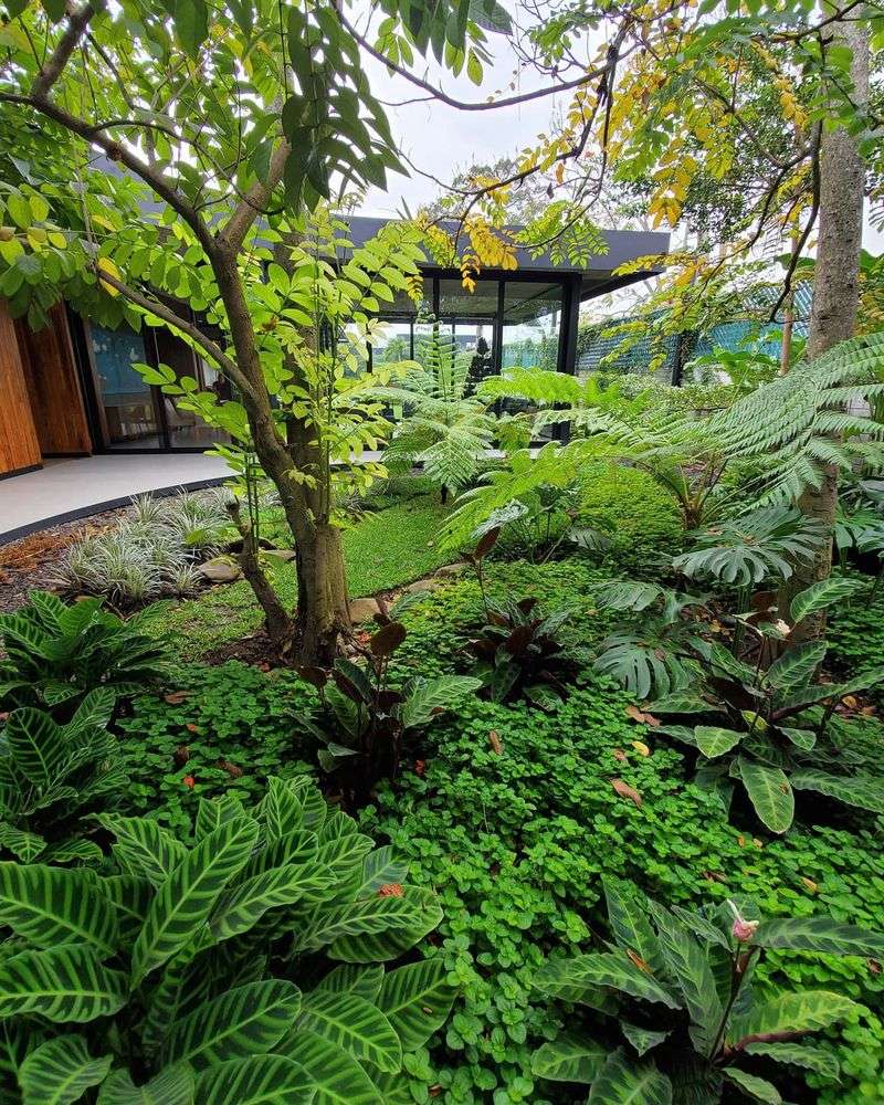 Overlooking Microclimates