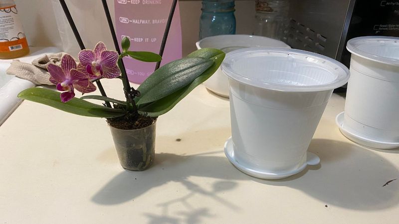 Water Quality Issues