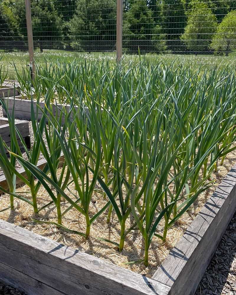 Adjust Your Watering Schedule