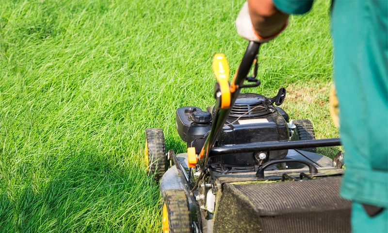 Raise Your Mowing Height