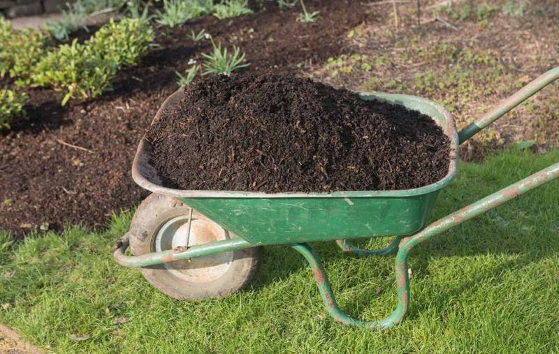 Use Organic Mulch Barriers