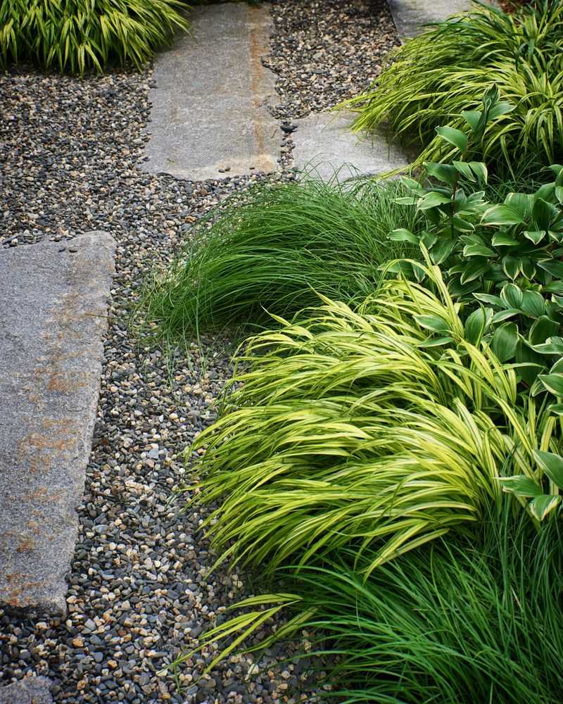 Overlooking Hardscaping Needs