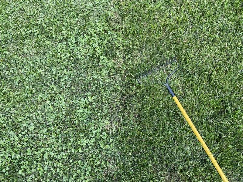 Weed Killer Misuse