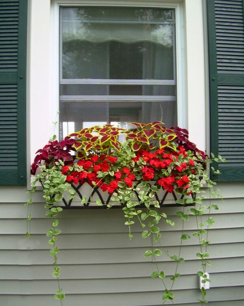 Install Window Boxes with Seasonal Flowers