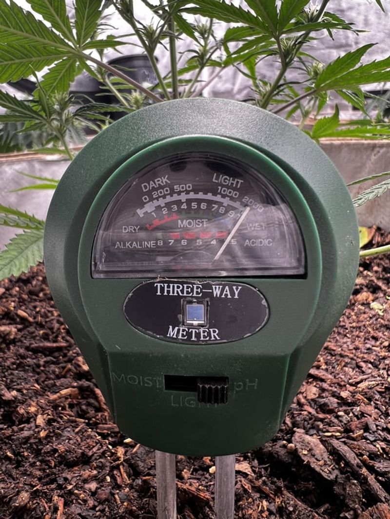 Test and Adjust Soil pH