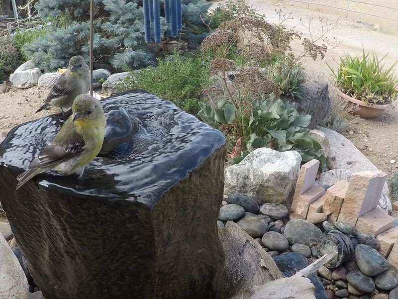 Create a Water Feature