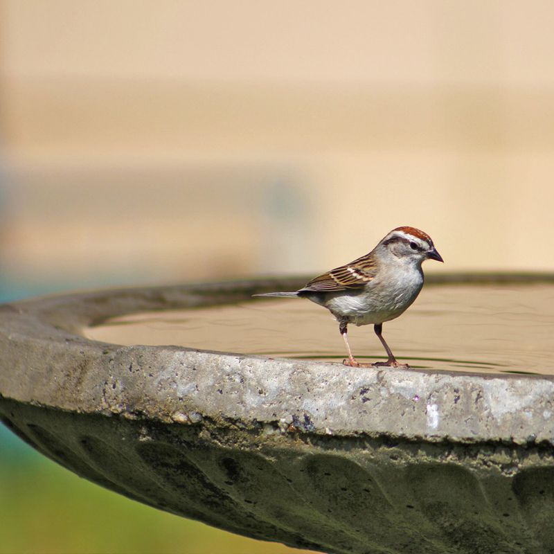 Provide Year-Round Water