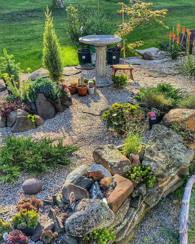 Alpine Rock Garden
