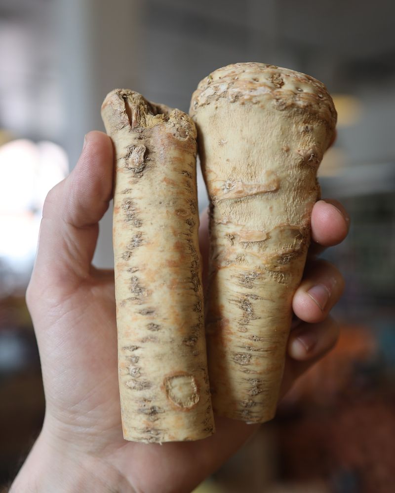 Horseradish