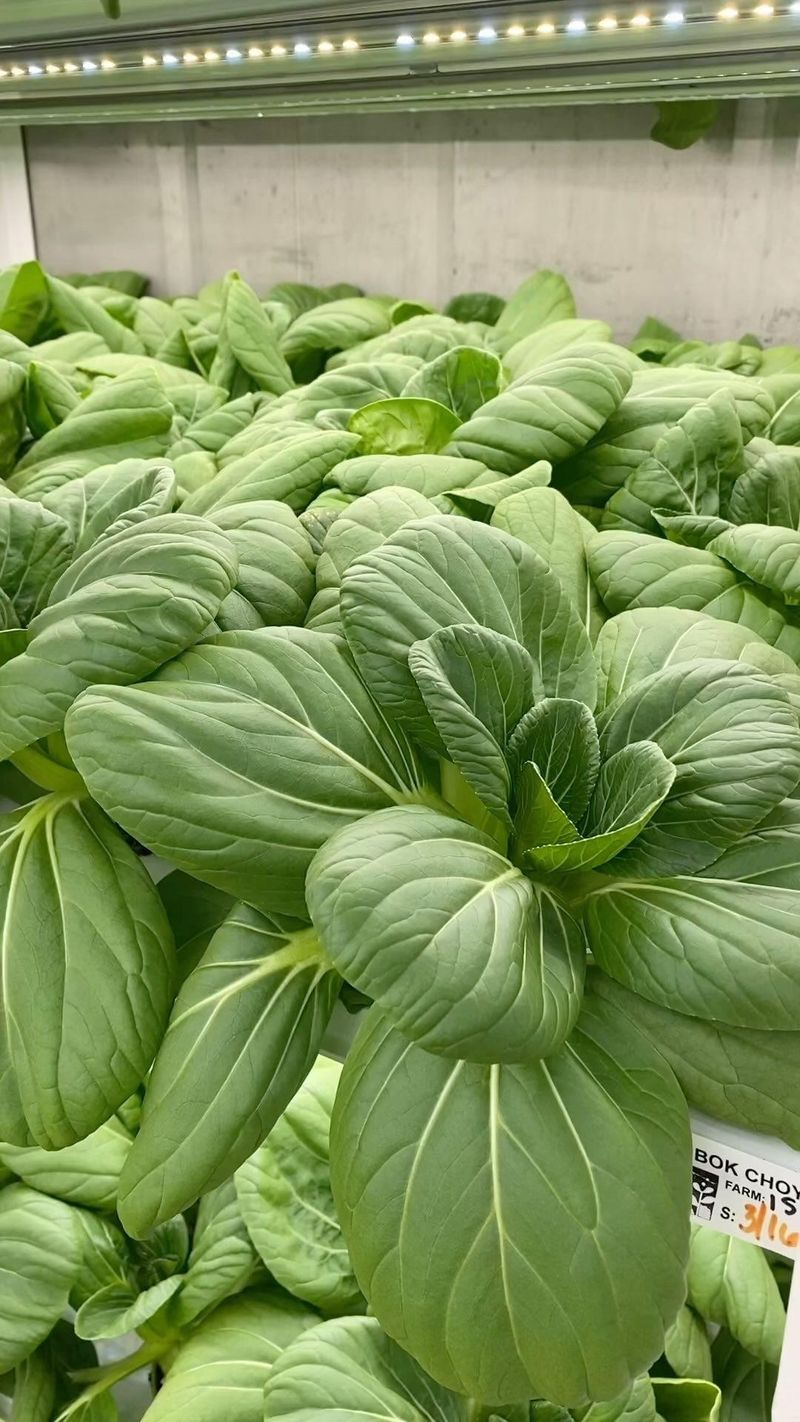 Bok Choy: Cleaner Flavor Without Garden Grit