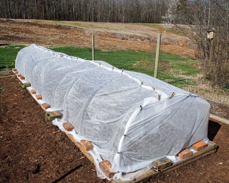Provide Wind Protection