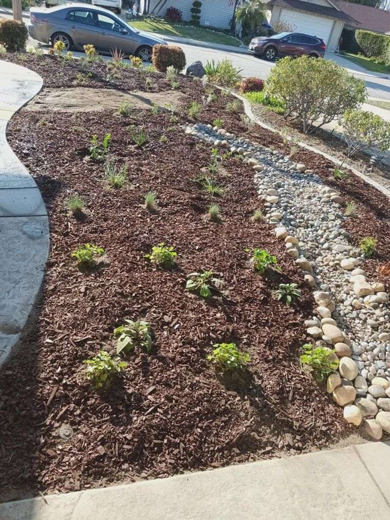 Using Mulch Too Generously