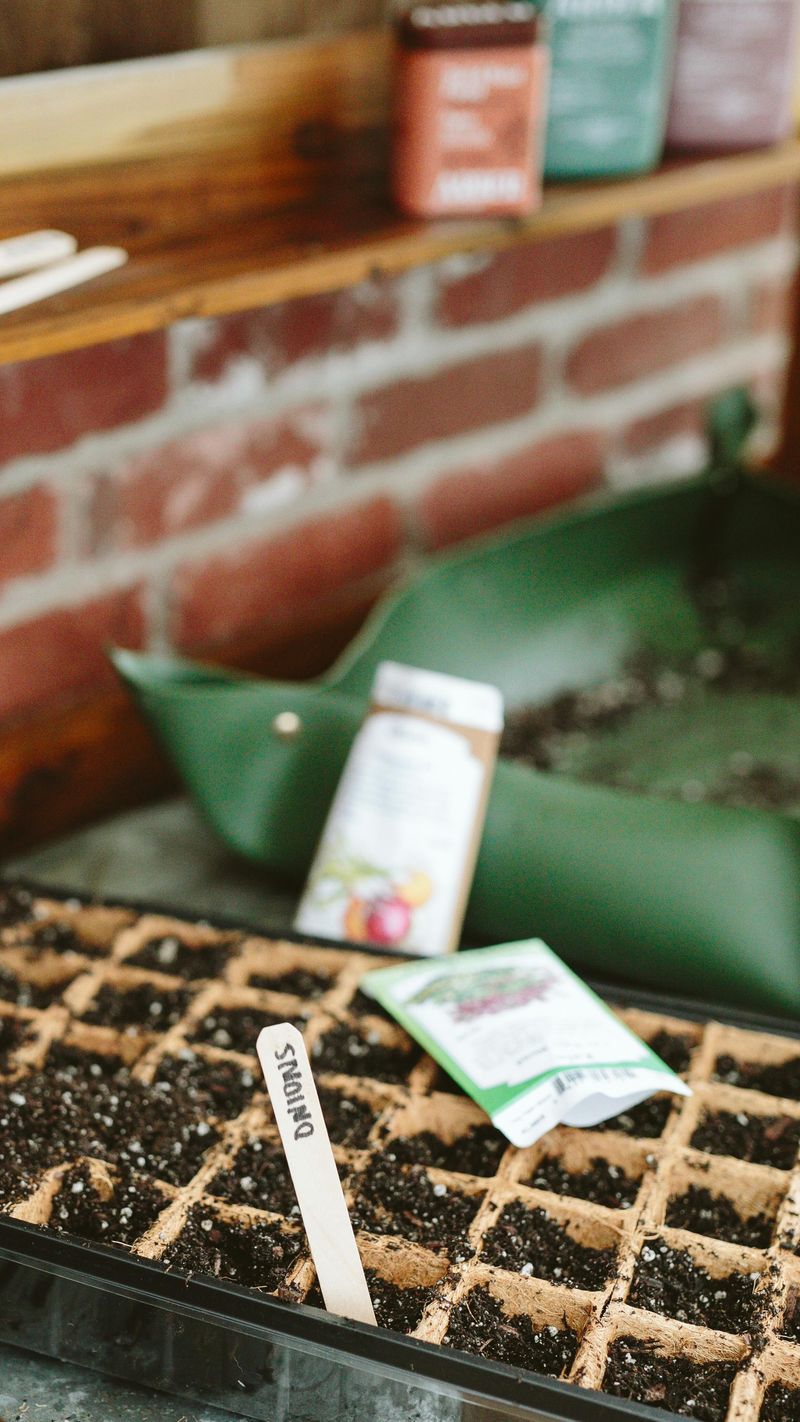 Read The Seed Packet First