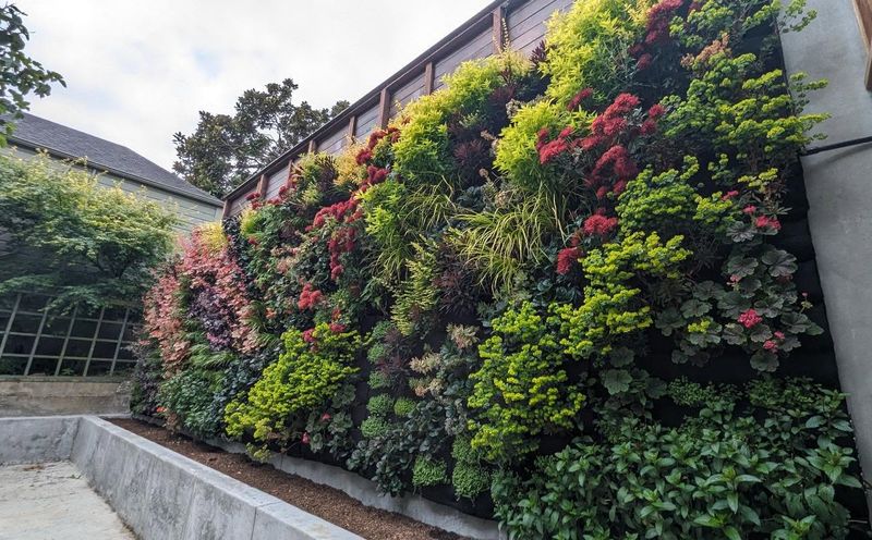 Living Green Wall Fence