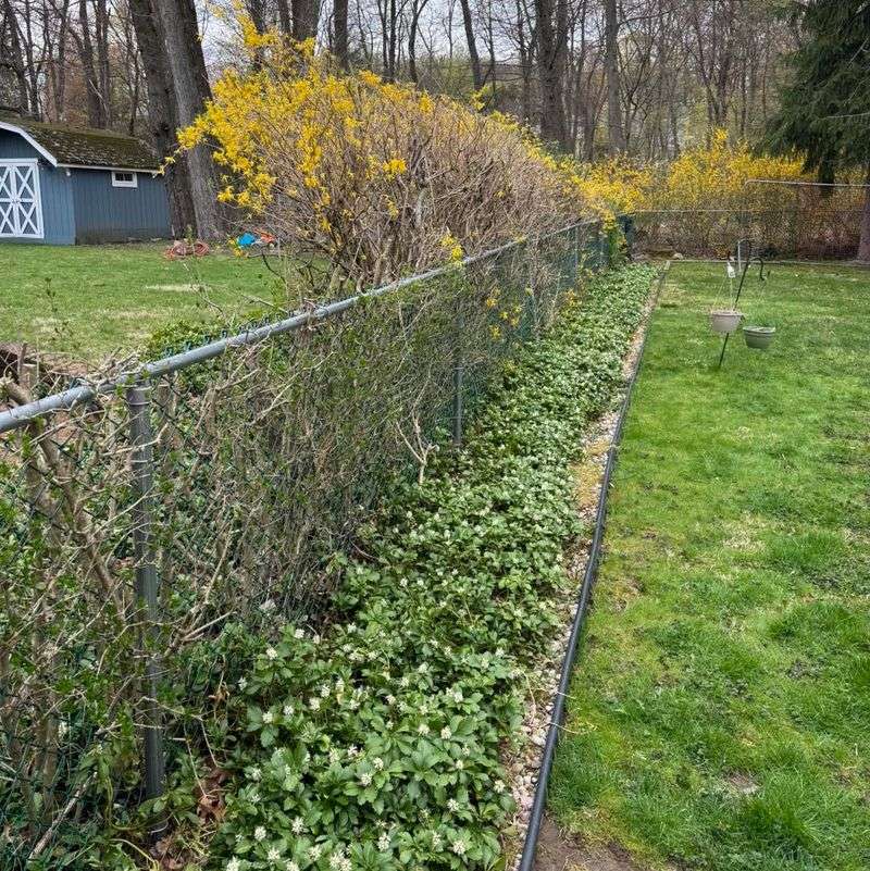 Railroad Tie Borders