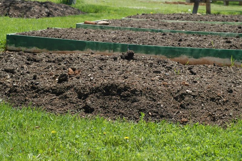 Straight Topsoil Fill