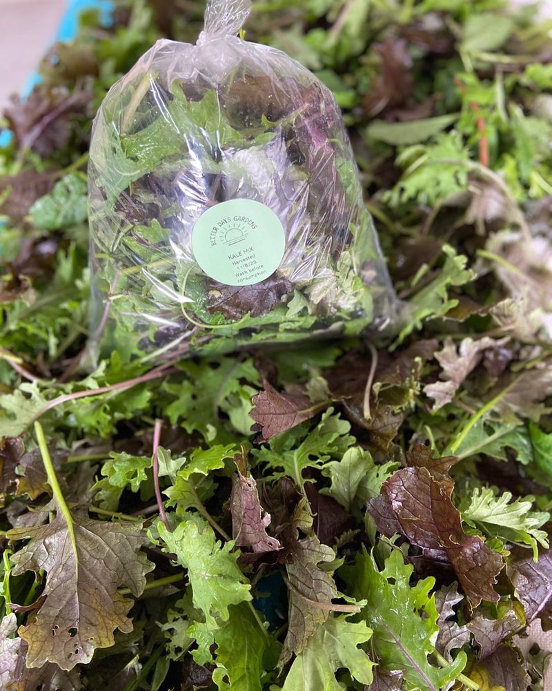 Baby Kale