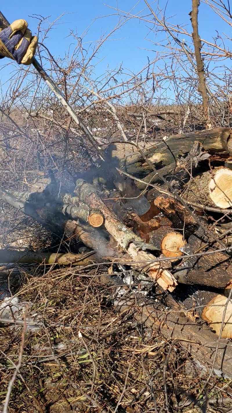 Create Brush Piles