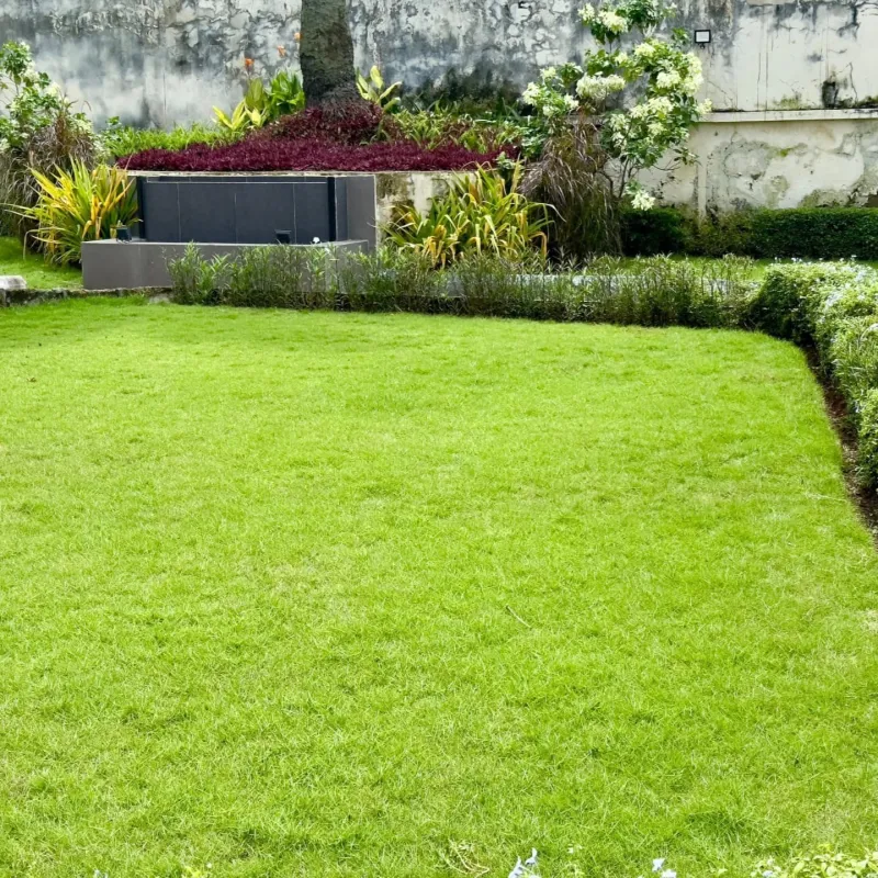 Soil Health Boost