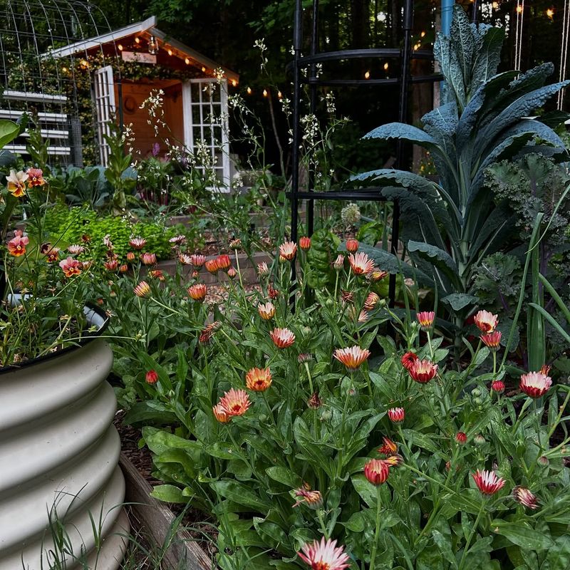 Choose the Right Plants