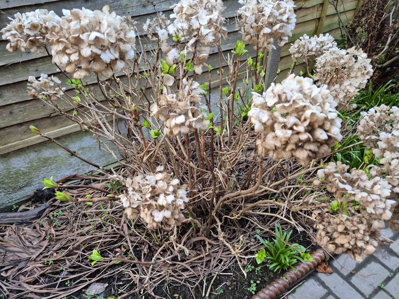 Skipping deadheading