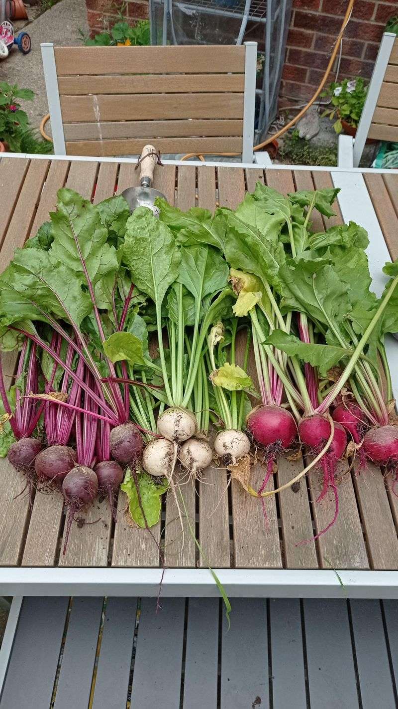 Beets Beat Expectations