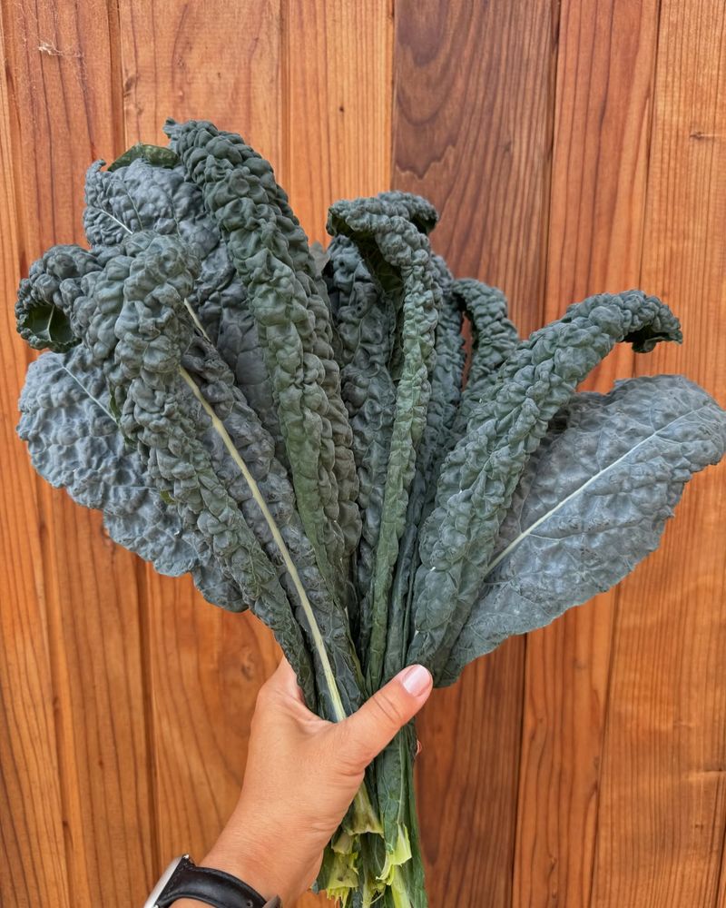 Kale With Surprising Sweetness