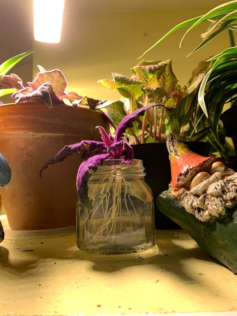 Propagation Methods Are Simple
