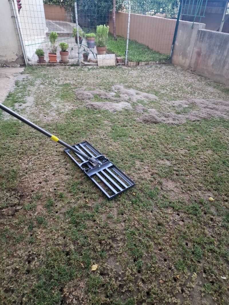 Aerate Before Fertilizing