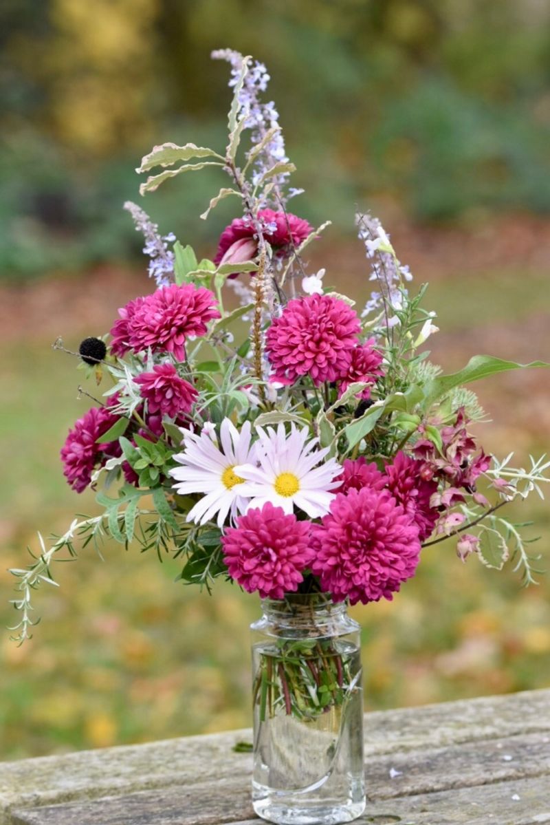 Chrysanthemums