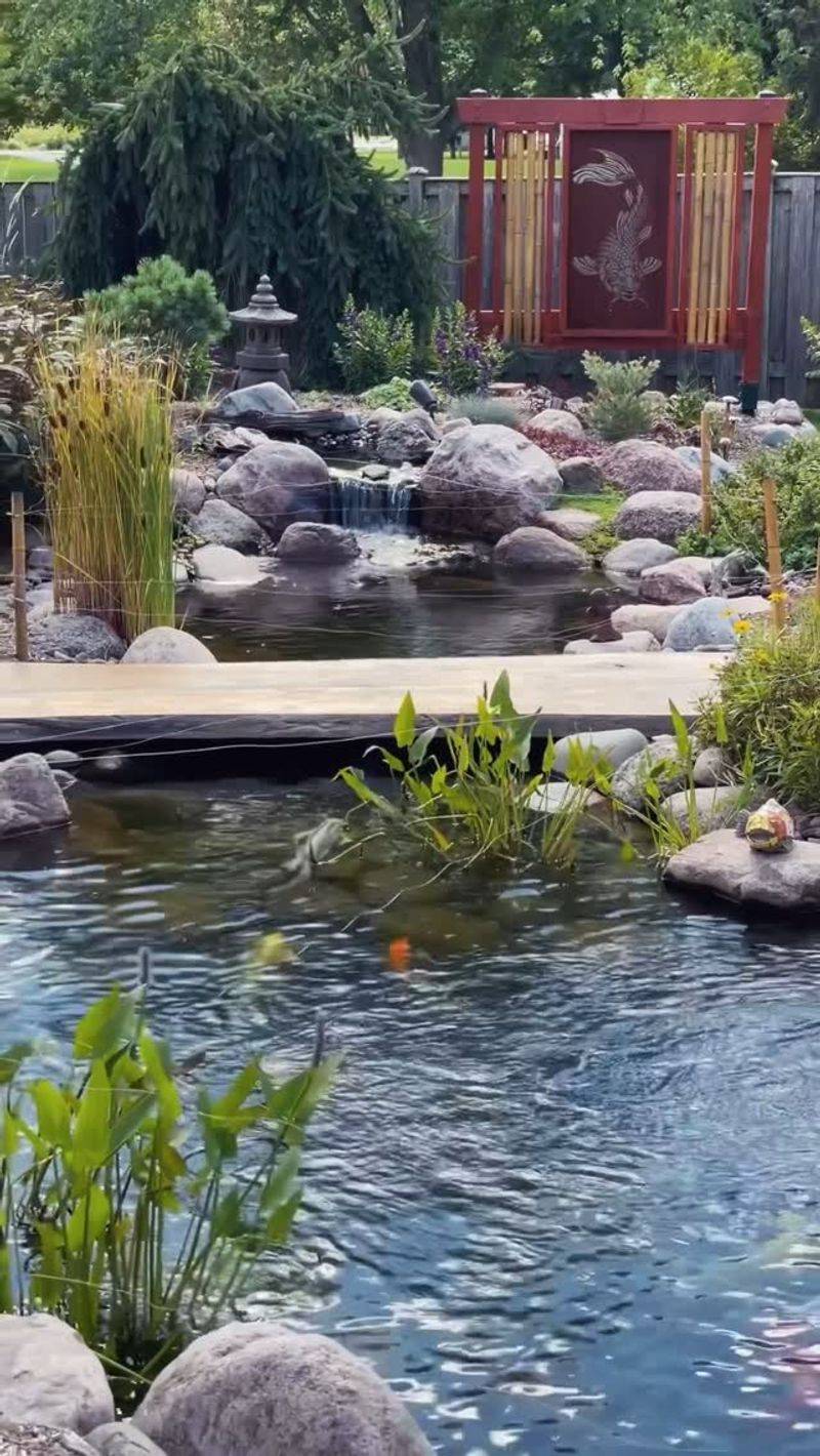 Koi Pond with Water Features