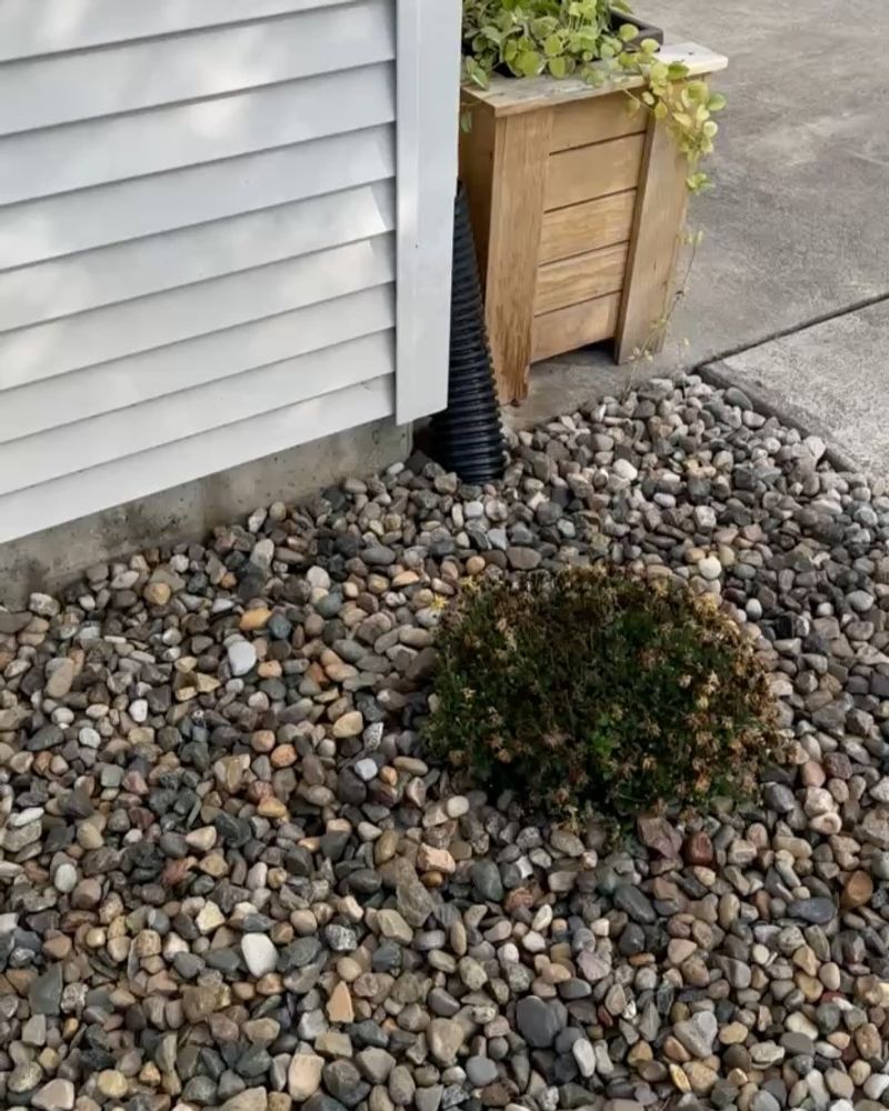 Prevents Gravel From Sinking Into Soil