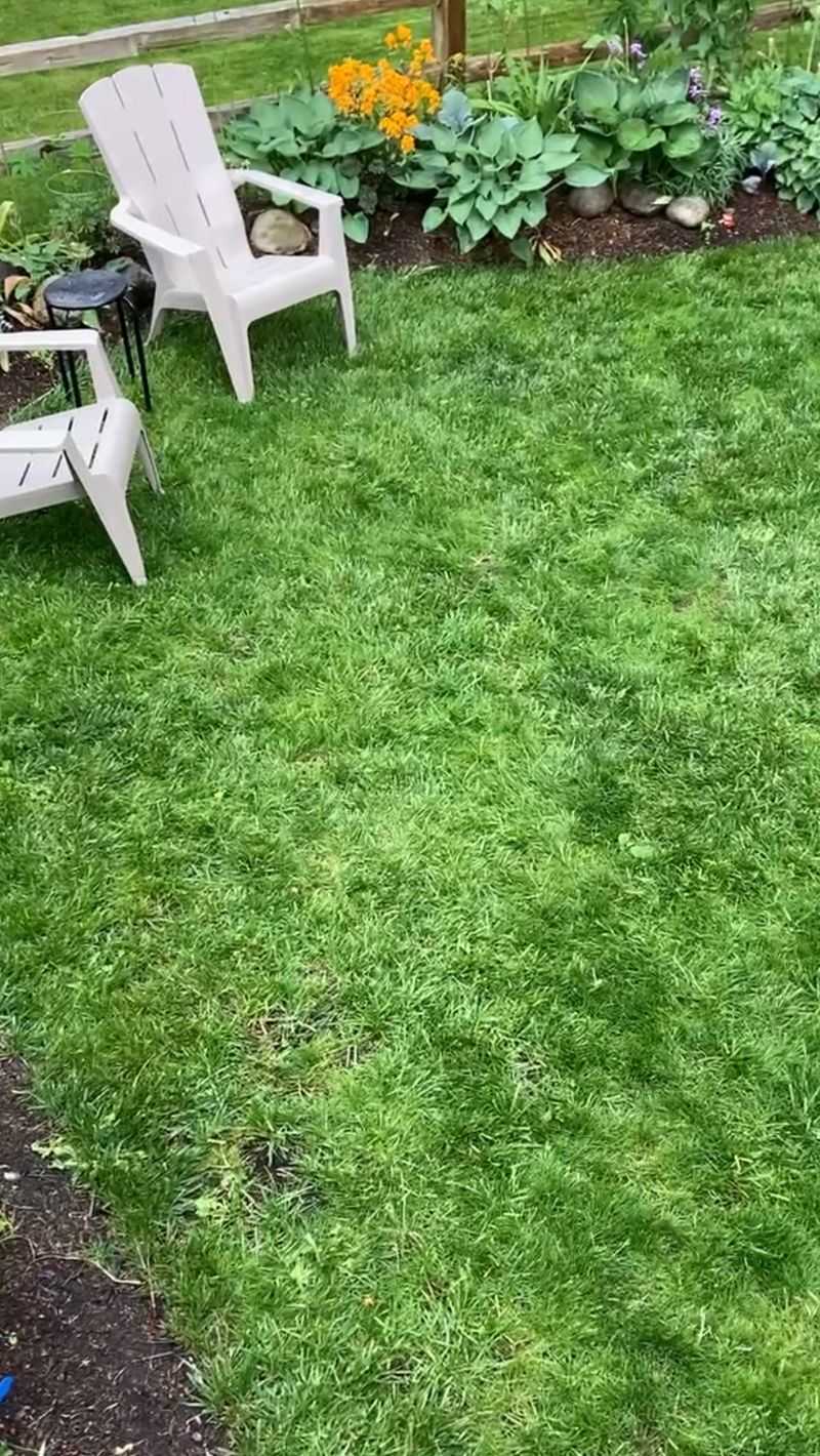 MISTAKE: Applying The Wrong Fertilizer